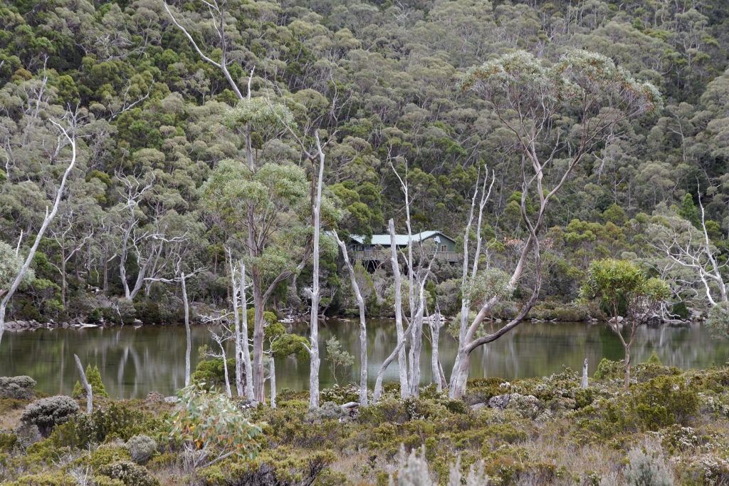 17 - Mt Field NP (11).jpg